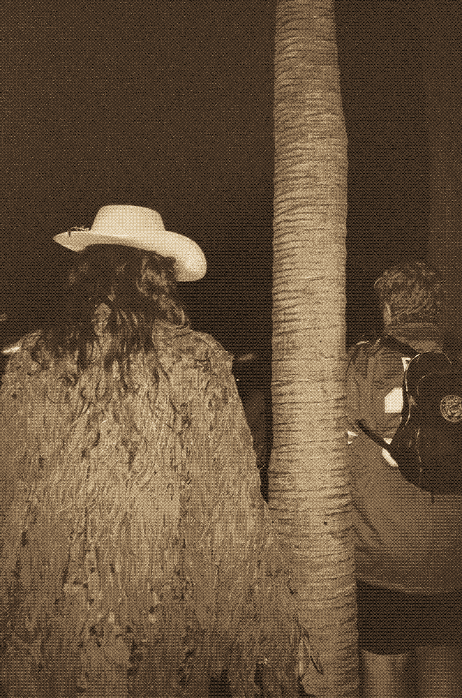 a figure in a ghillie suit and pink cowboy hat standing beside a palm tree at night, with a witness nearby